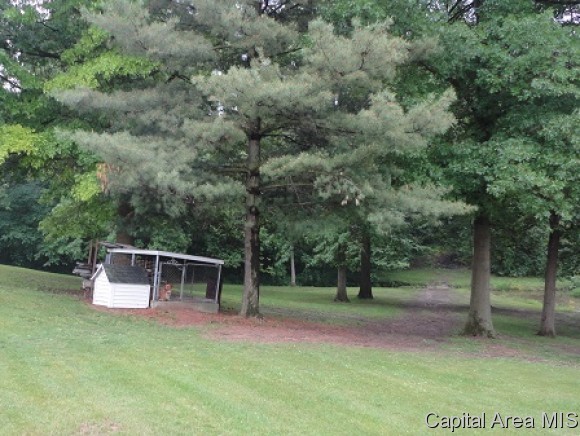 512 East 900 North Road Morrisonville, IL 62546 - Photo 17 of 18 Gallery Image 17