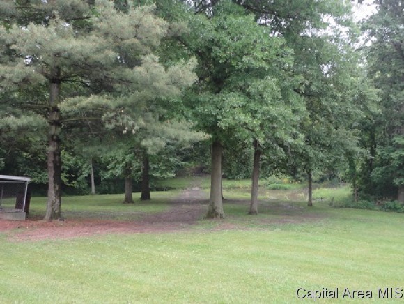512 East 900 North Road Morrisonville, IL 62546 - Photo 3 of 18 Gallery Image 3
