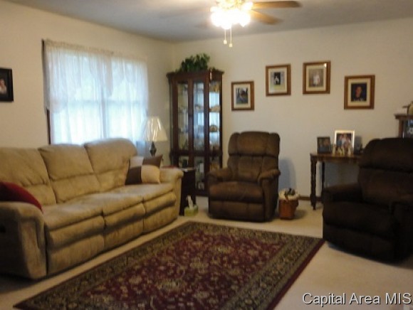 512 East 900 North Road Morrisonville, IL 62546 - Photo 5 of 18 Gallery Image 5