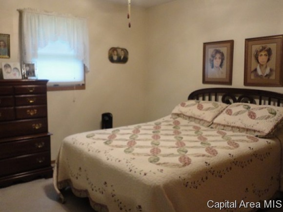 512 East 900 North Road Morrisonville, IL 62546 - Photo 9 of 18 Gallery Image 9