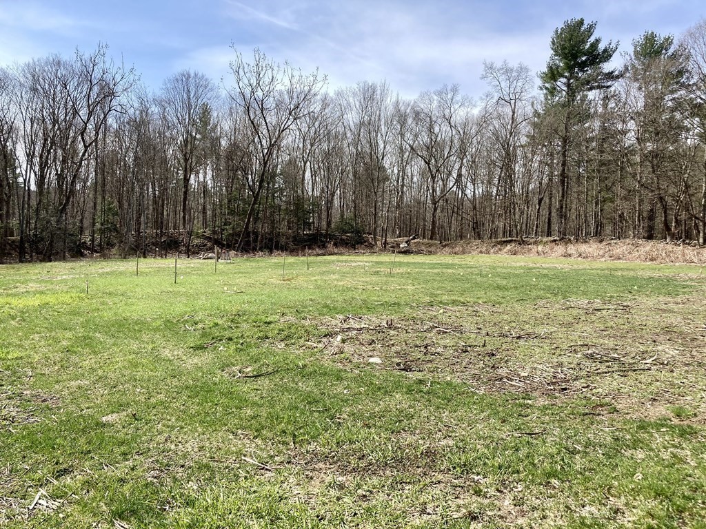 0 Rattlesnake Gutter Road Leverett, MA 01054 - Photo 10 of 17 Gallery Image 10