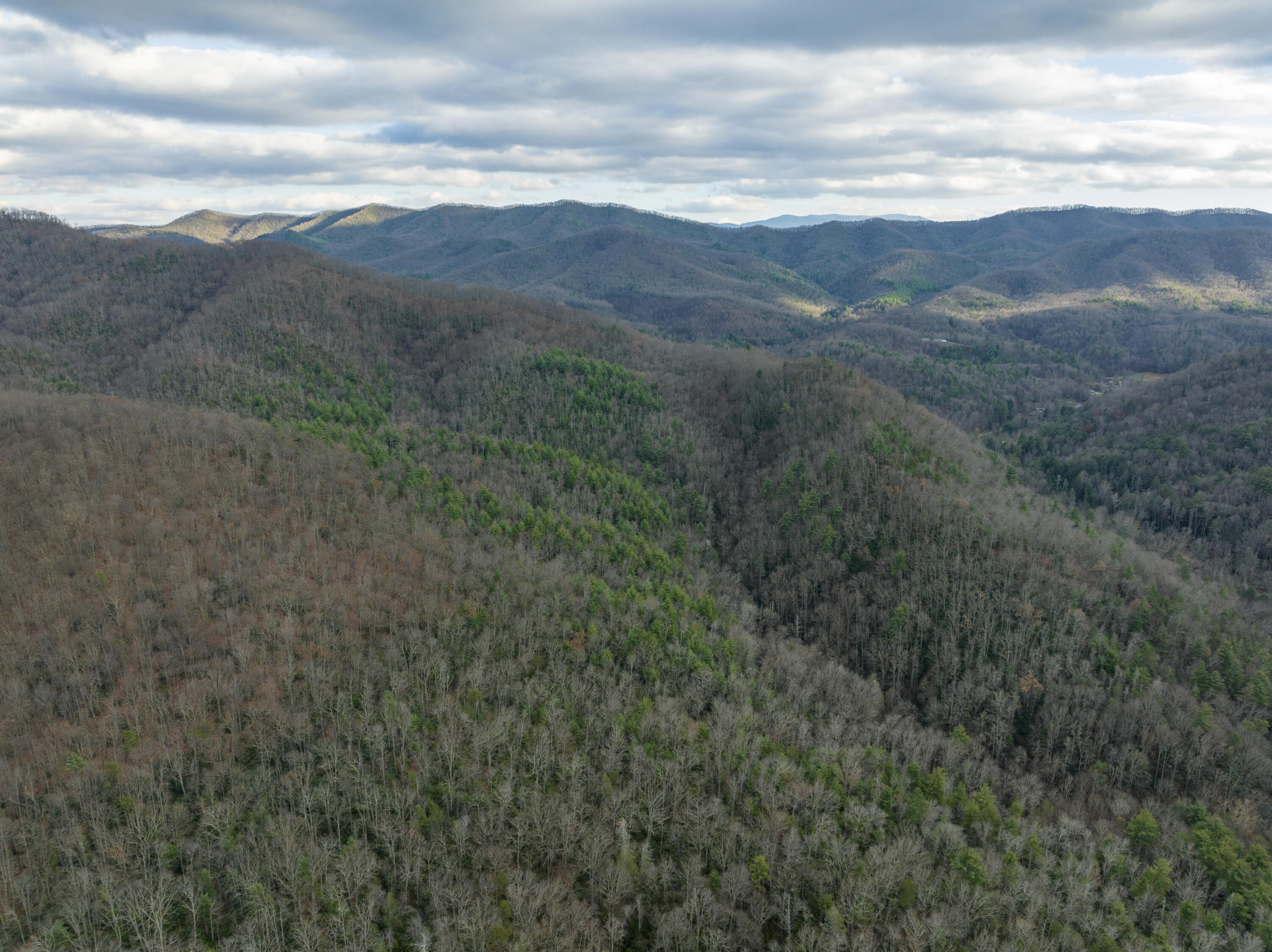 766 Laurels Road Johnson City, TN 37601 - Photo 55 of 55 Laurels-Aerials-10