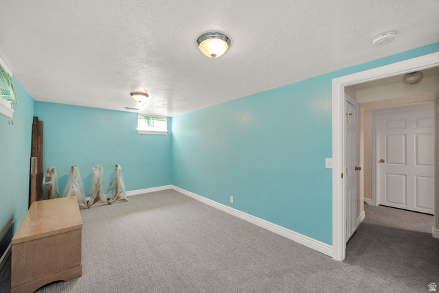 80 North 500 West Logan, UT 84321 - Photo 27 of 36 Finished room featuring carpet flooring, painted walls, ceiling-mounted light fixtures, and a white paneled door