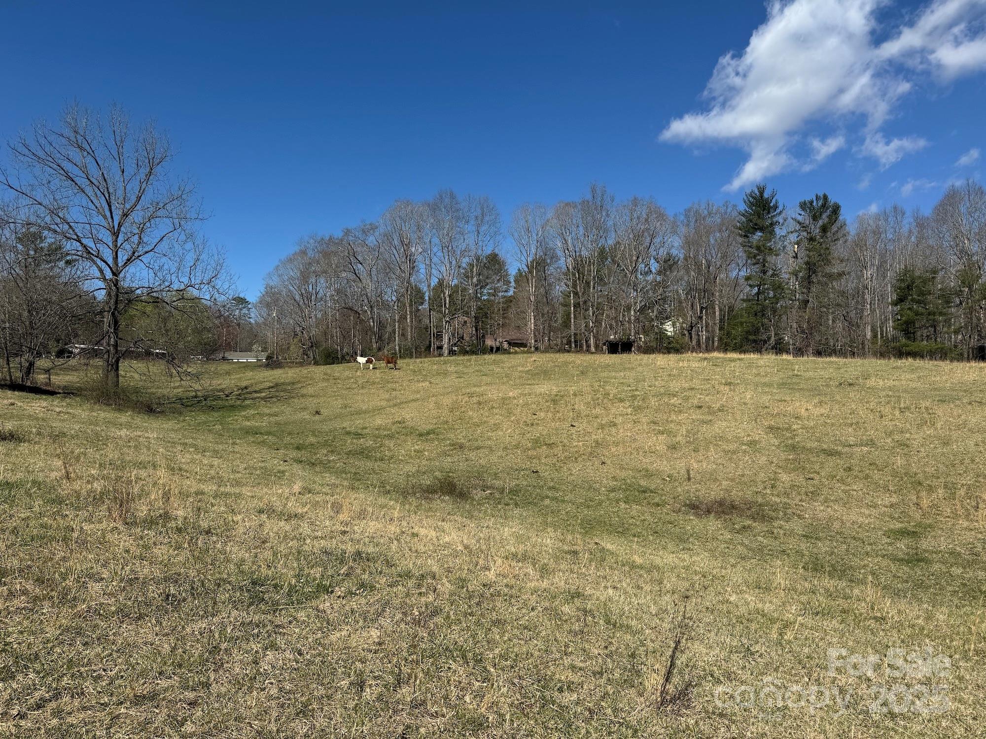Tbd Lytle Road Fletcher, NC 28732 - Photo 11 of 39 a view of dirt field with trees in background