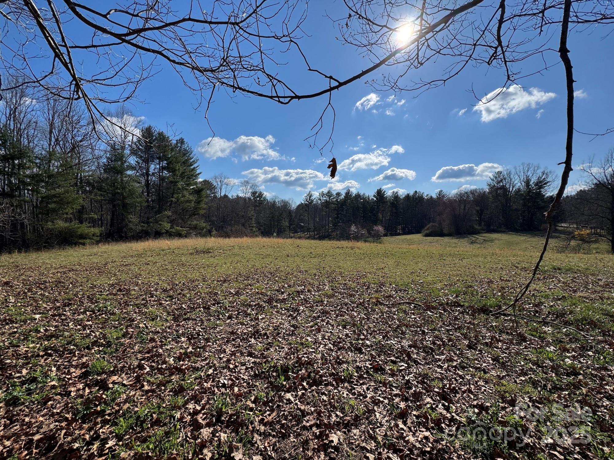 Tbd Lytle Road Fletcher, NC 28732 - Photo 12 of 39 a view of a big yard