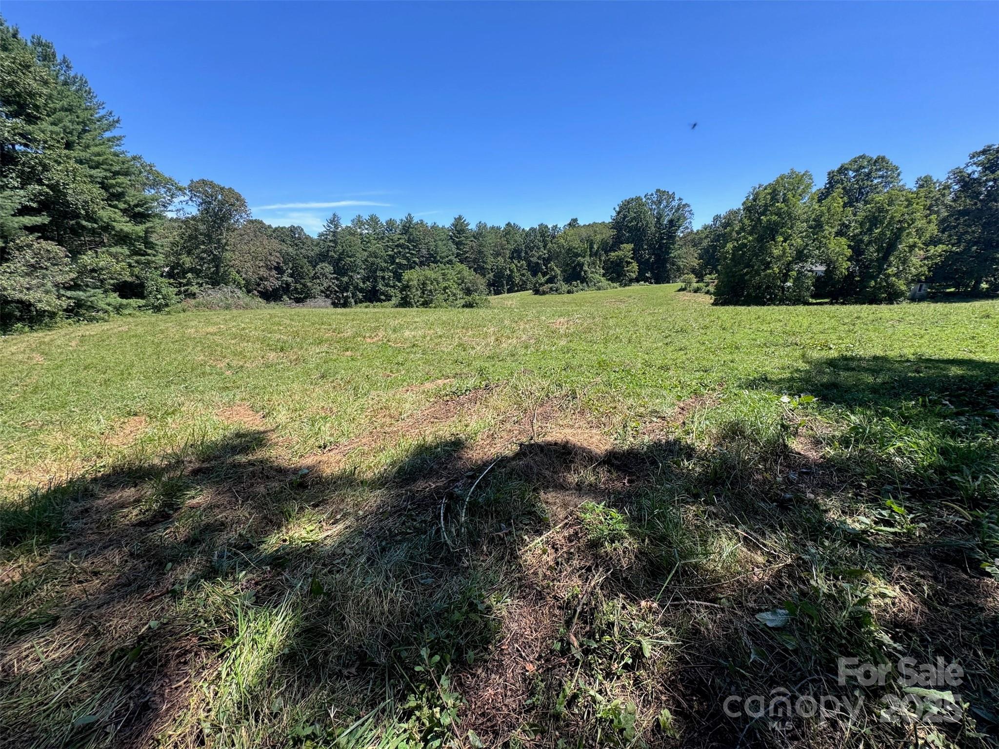 Tbd Lytle Road Fletcher, NC 28732 - Photo 14 of 39 a view of outdoor space and yard