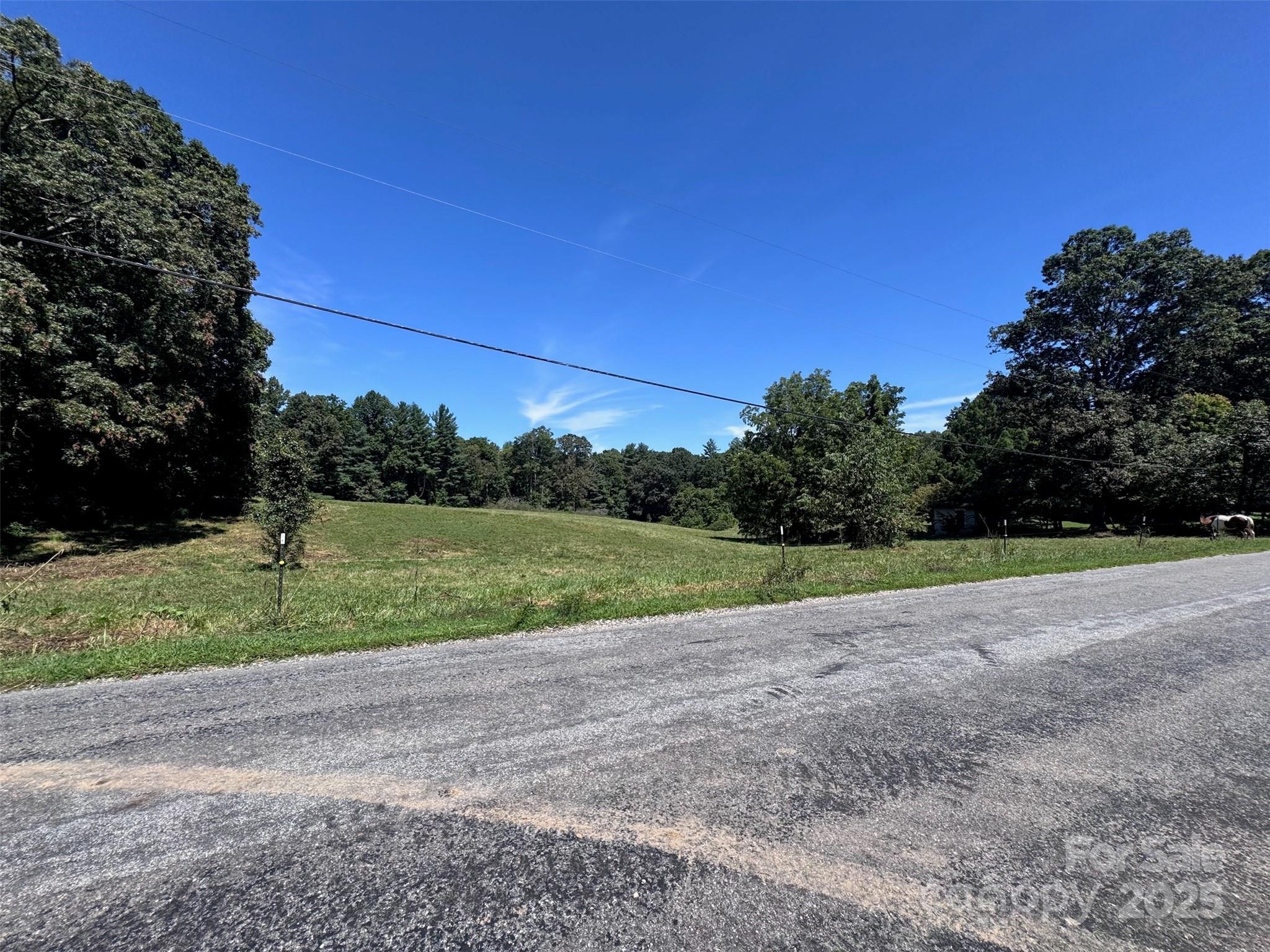 Tbd Lytle Road Fletcher, NC 28732 - Photo 19 of 39 a view of a yard with potted plants