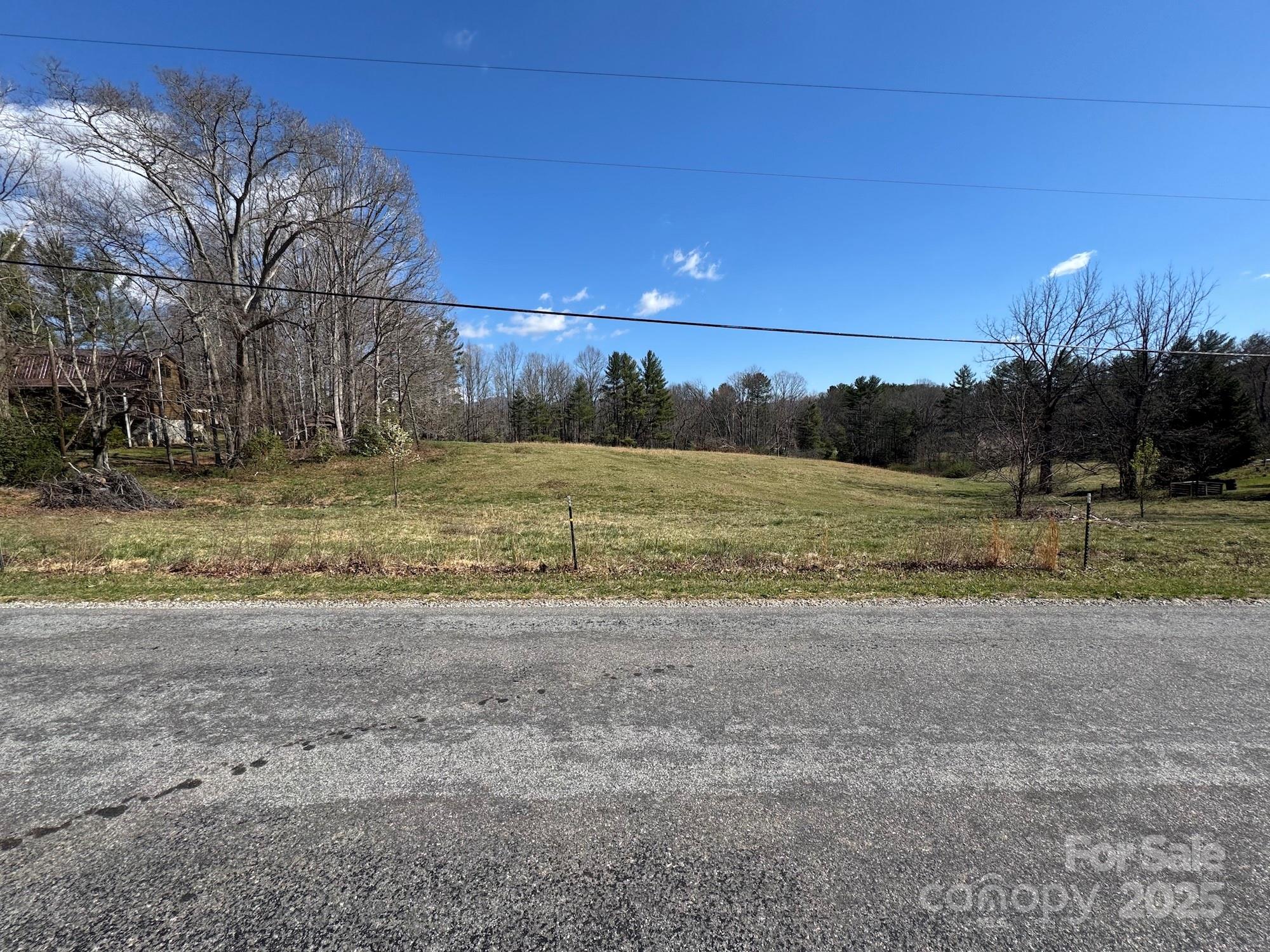 Tbd Lytle Road Fletcher, NC 28732 - Photo 20 of 39 a view of a yard with a tree