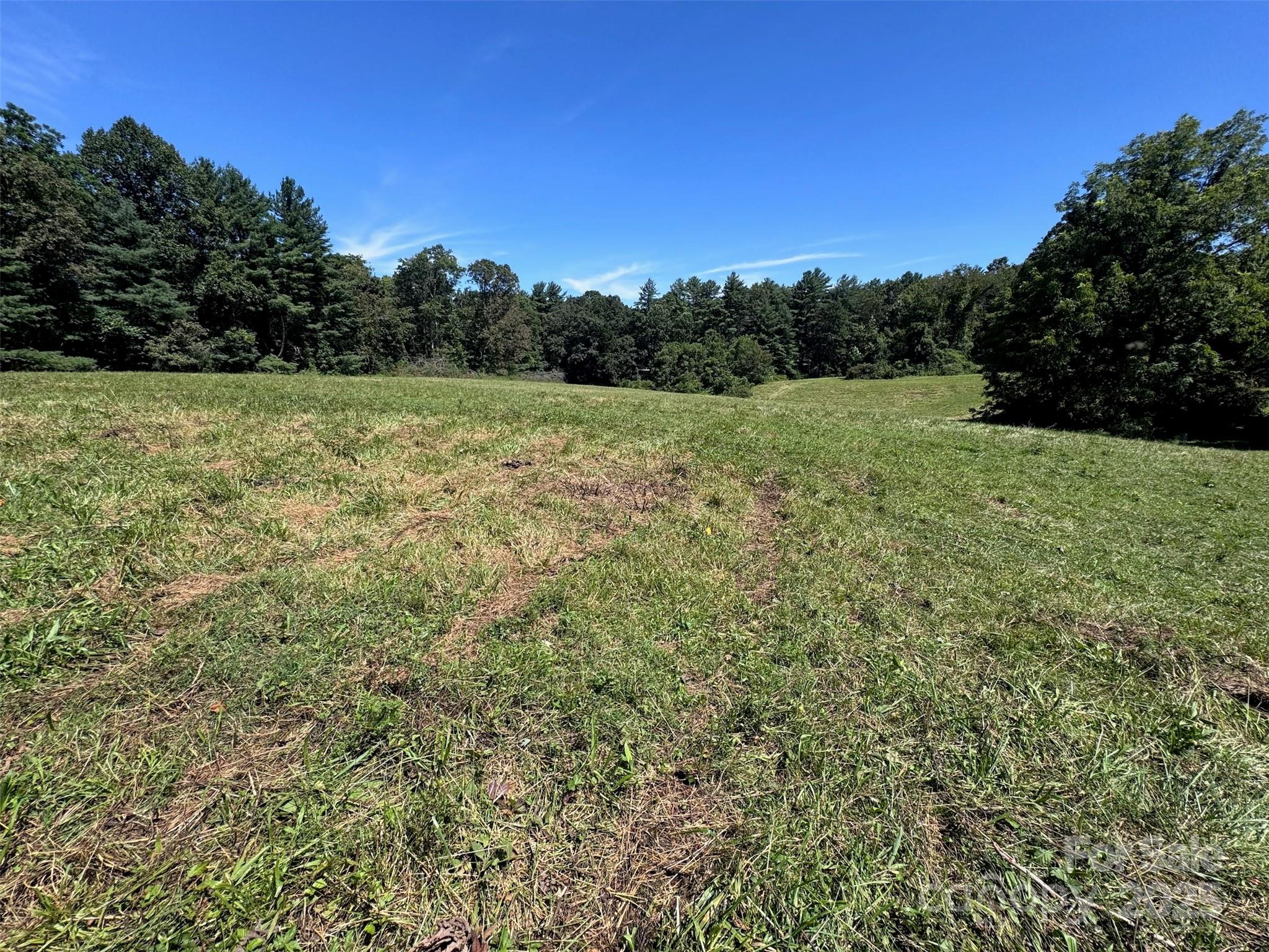 Tbd Lytle Road Fletcher, NC 28732 - Photo 2 of 39 a view of a green field with lots of bushes