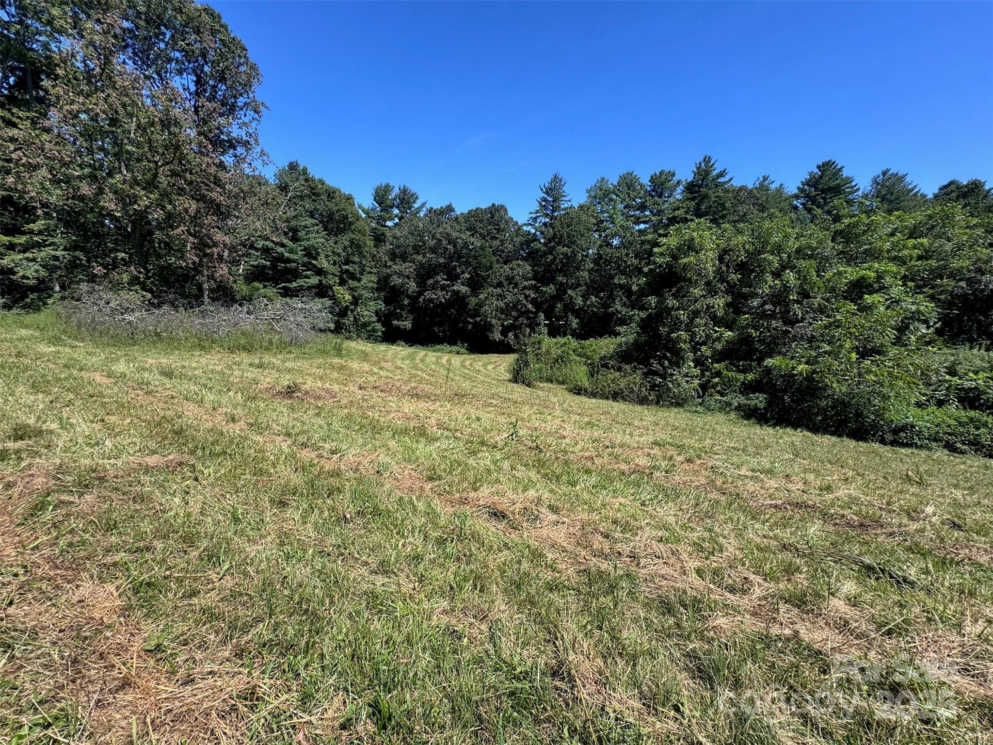 Tbd Lytle Road Fletcher, NC 28732 - Photo 27 of 39 a view of a yard with a tree