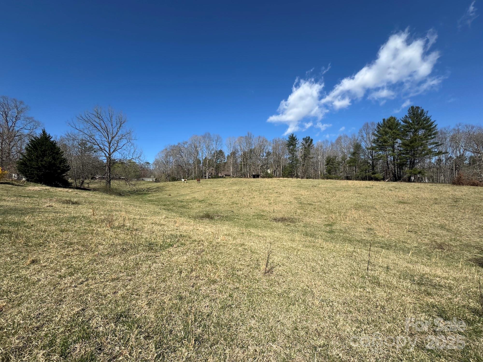 Tbd Lytle Road Fletcher, NC 28732 - Photo 28 of 39 a view of a yard with a tree