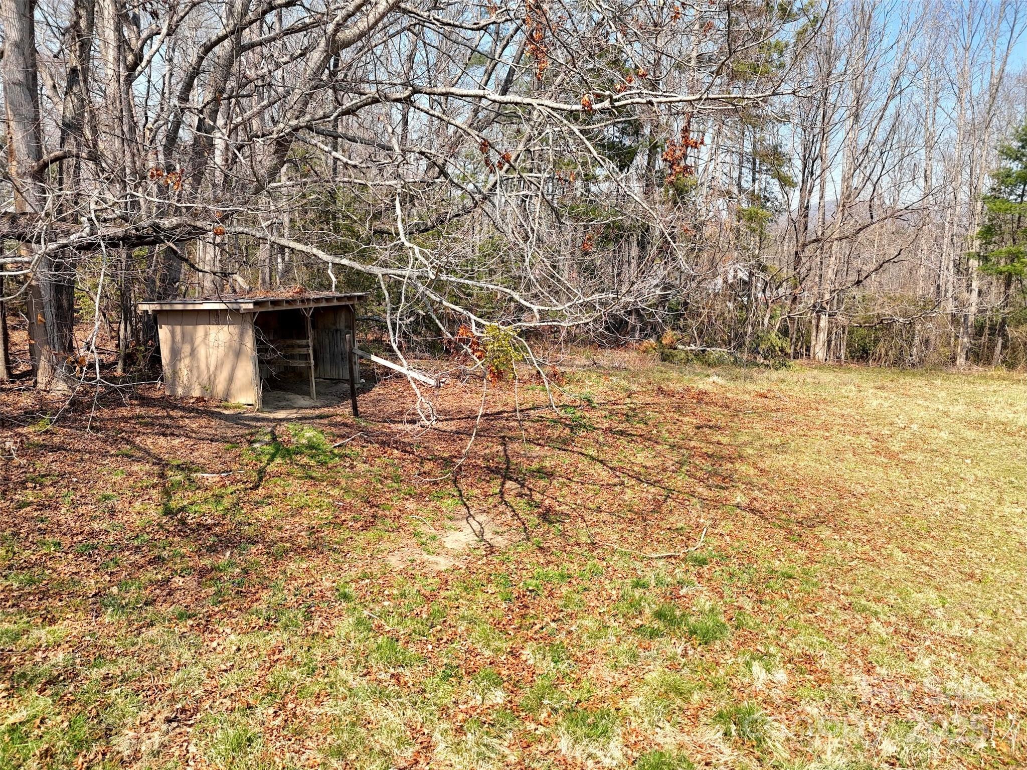 Tbd Lytle Road Fletcher, NC 28732 - Photo 29 of 39 a view of house with backyard and trees