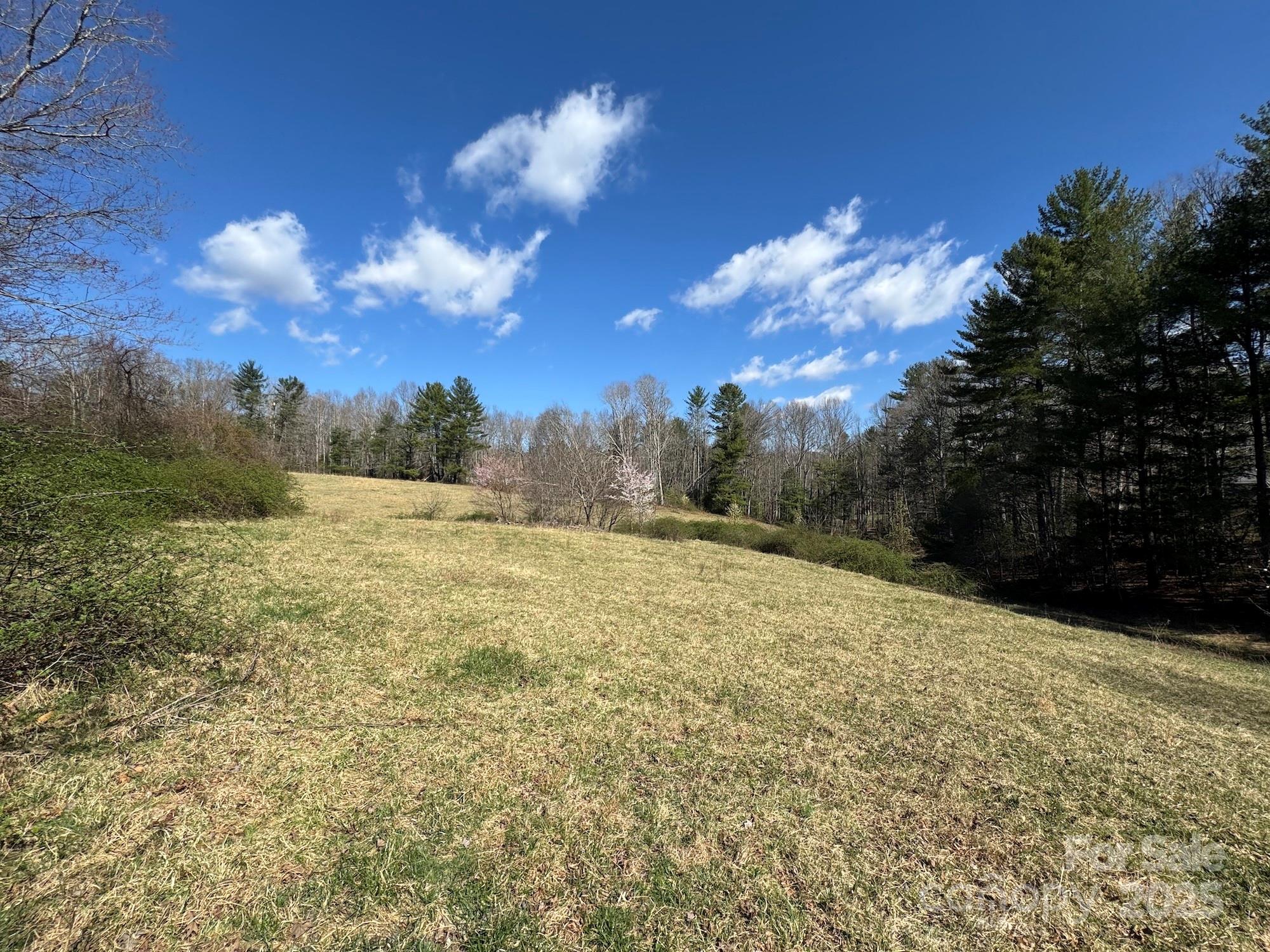 Tbd Lytle Road Fletcher, NC 28732 - Photo 30 of 39 a view of a big yard with large trees