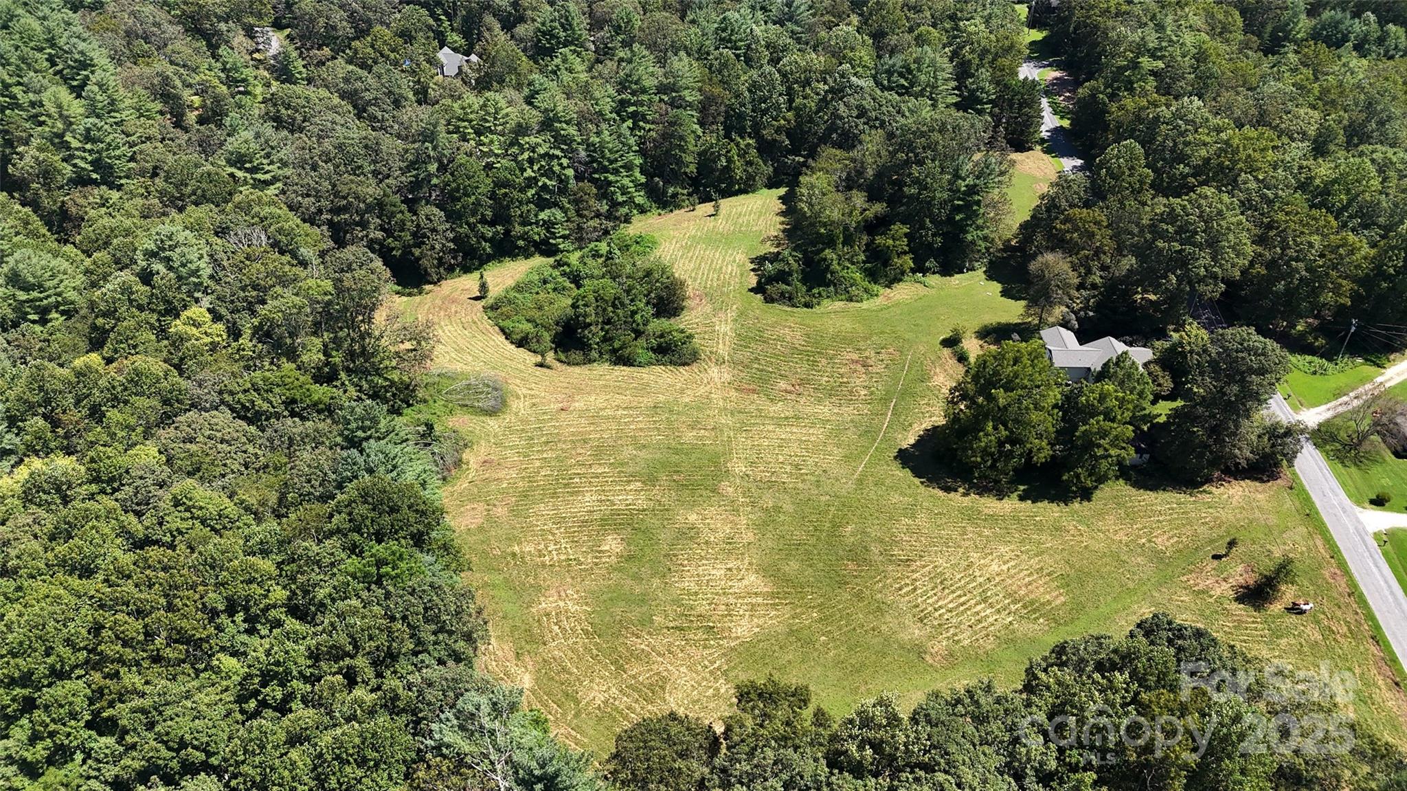 Tbd Lytle Road Fletcher, NC 28732 - Photo 8 of 39 a view of a garden with plants