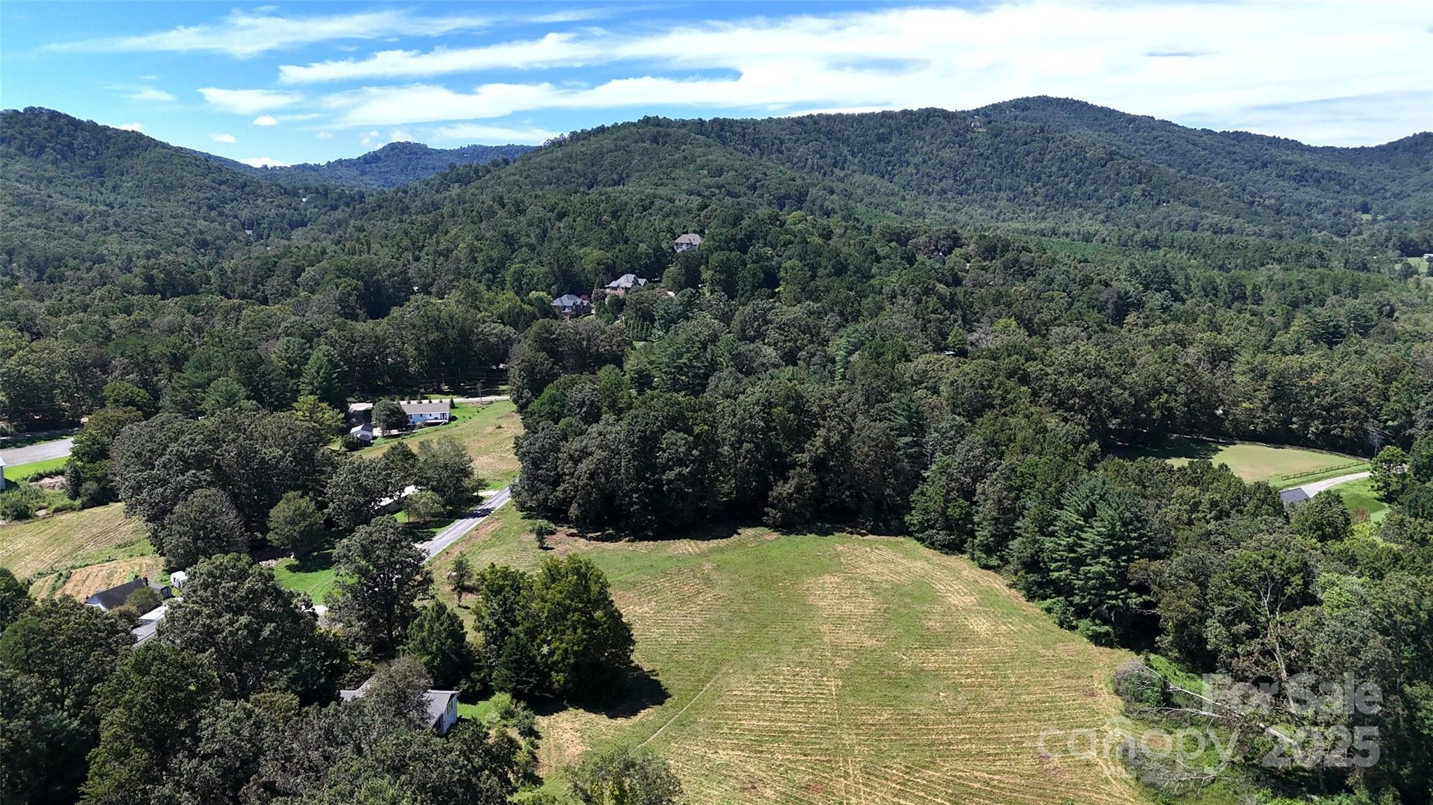 Tbd Lytle Road Fletcher, NC 28732 - Photo 9 of 39 a view of a forest with mountains in the background