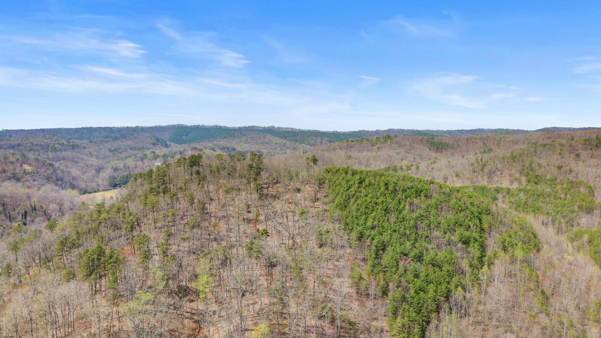 0 Harrison Pike Southwest McDonald, TN 37353 - Photo 3 of 26