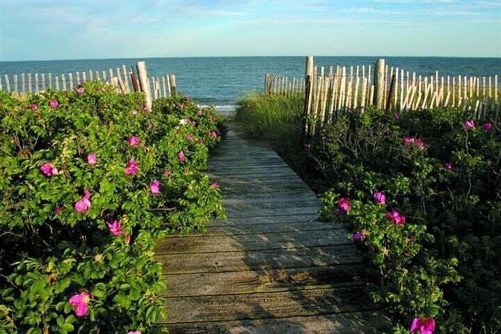 69 Cobblestone Circle Mashpee, MA 02649 - Photo 38 of 43 NS 1