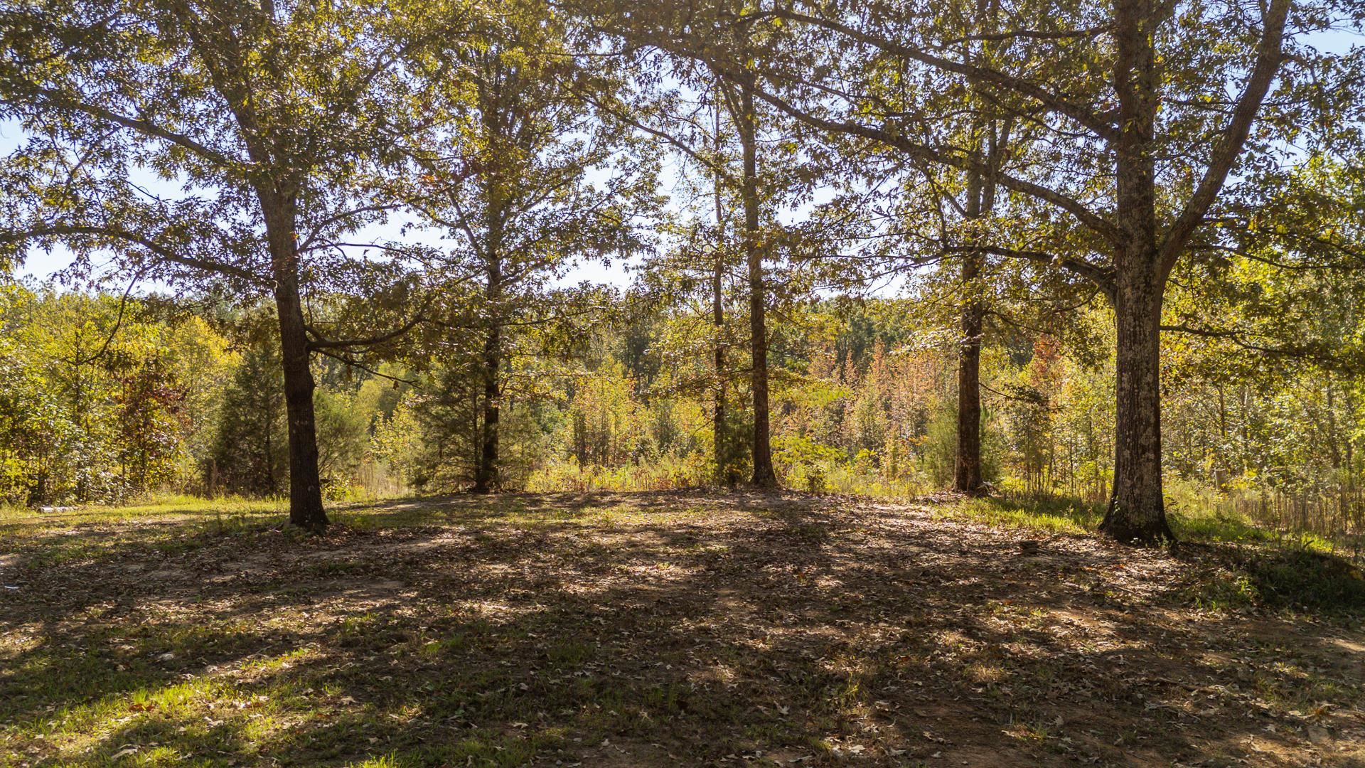 3000 Pleasant Site Road Selmer, TN 38375 - Photo 1 of 21 Gallery Image 1