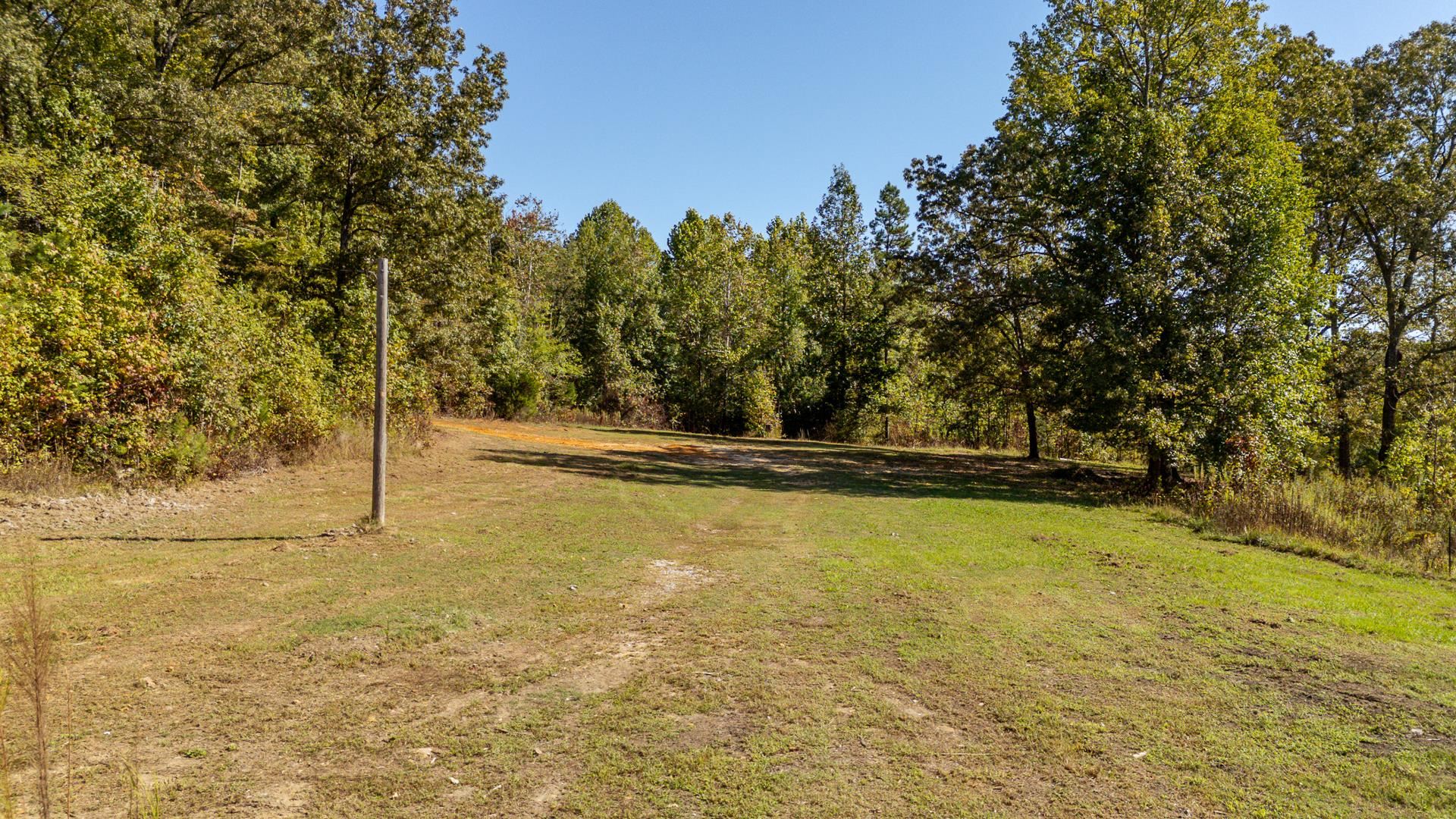 3000 Pleasant Site Road Selmer, TN 38375 - Photo 11 of 21 Gallery Image 11