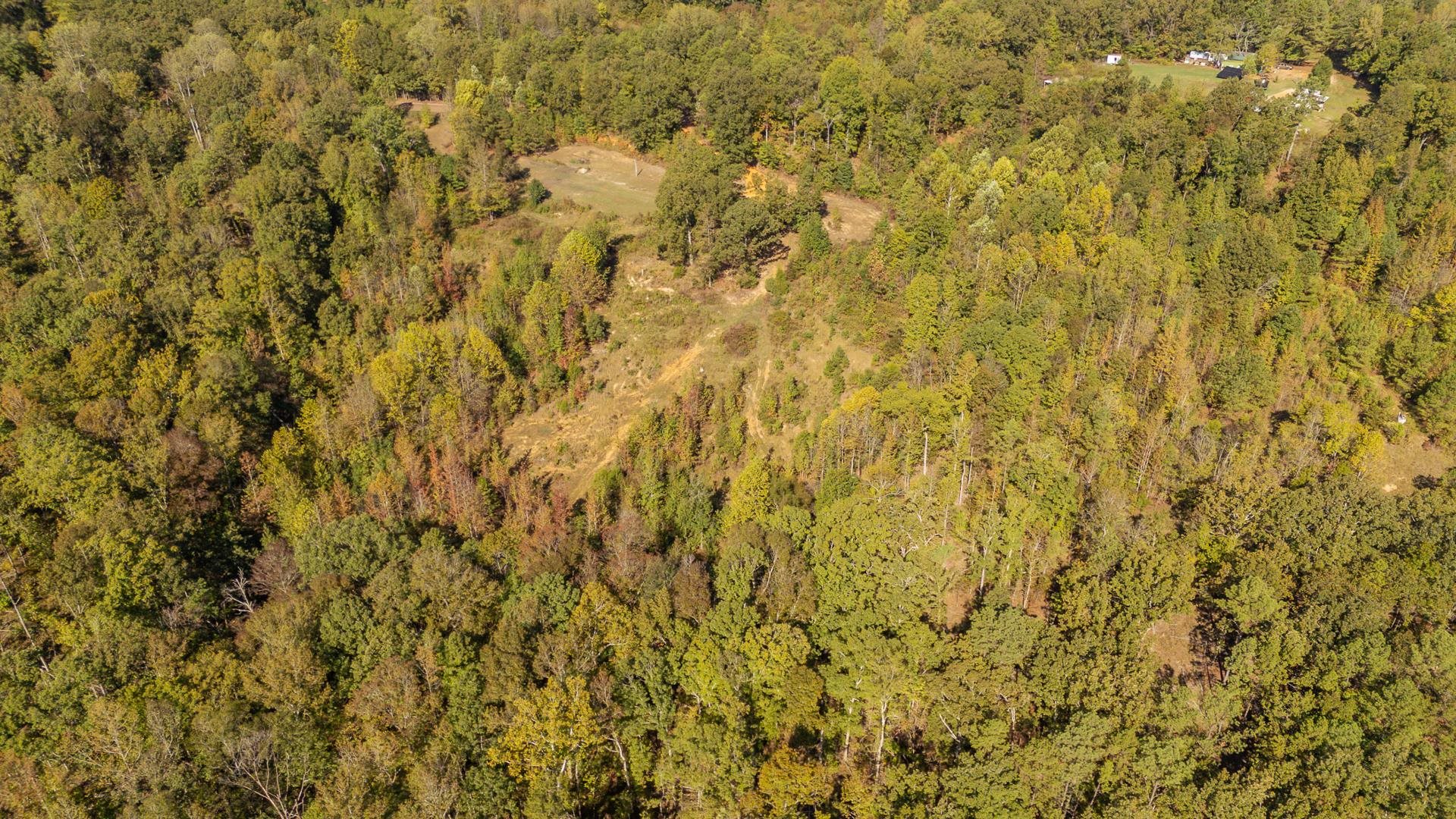 3000 Pleasant Site Road Selmer, TN 38375 - Photo 13 of 21 Gallery Image 13