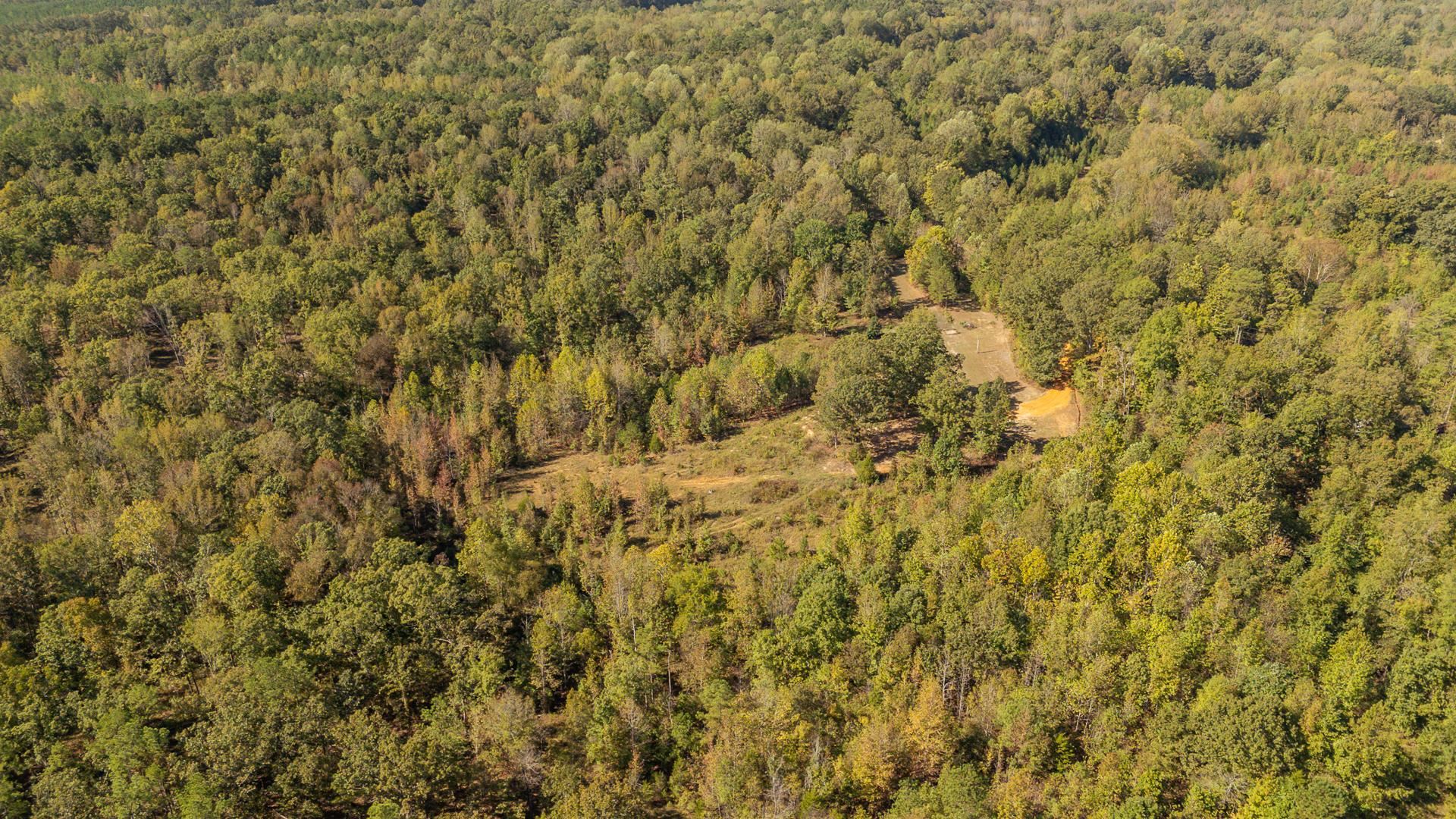 3000 Pleasant Site Road Selmer, TN 38375 - Photo 14 of 21 Gallery Image 14