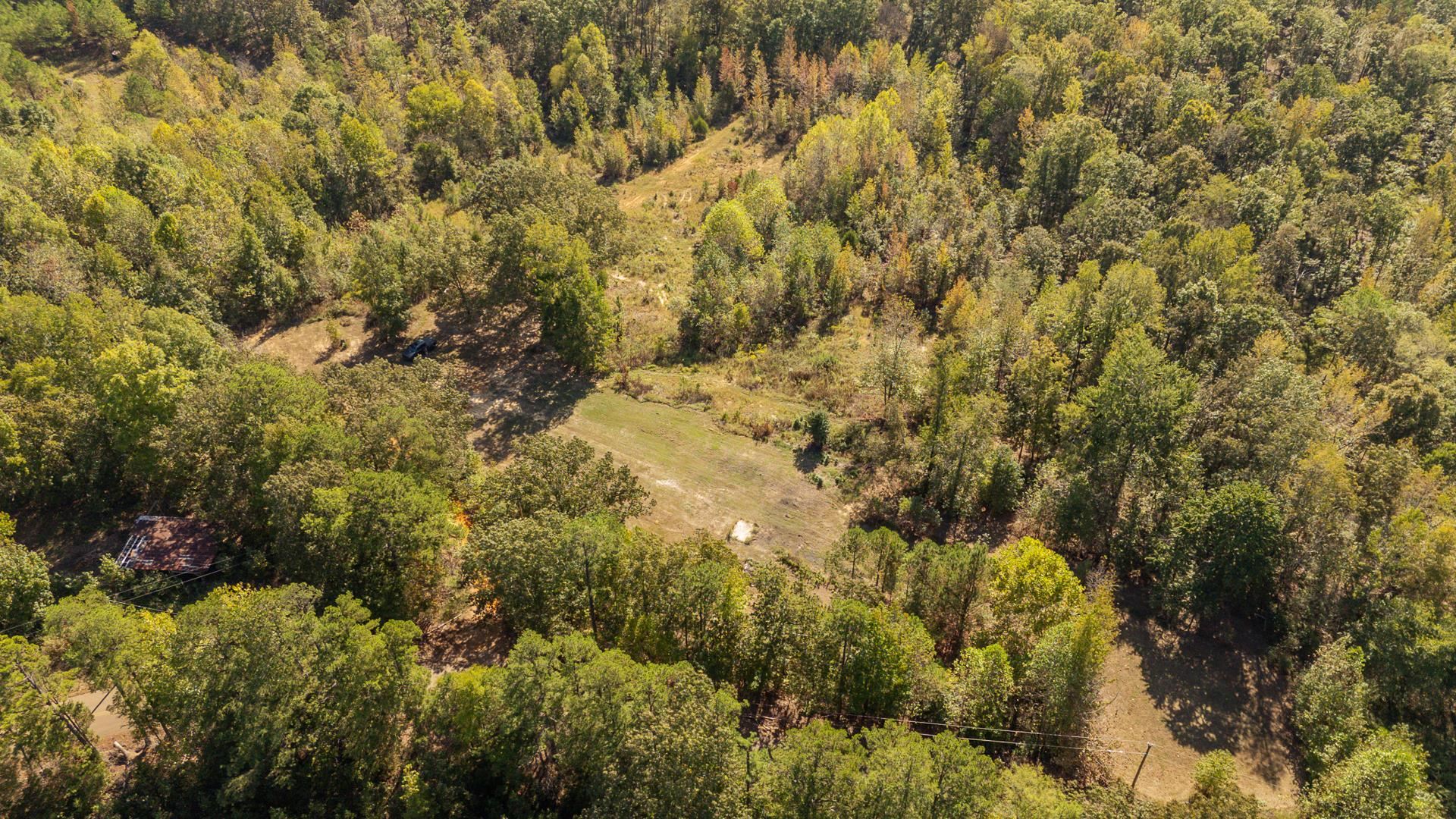3000 Pleasant Site Road Selmer, TN 38375 - Photo 16 of 21 Gallery Image 16