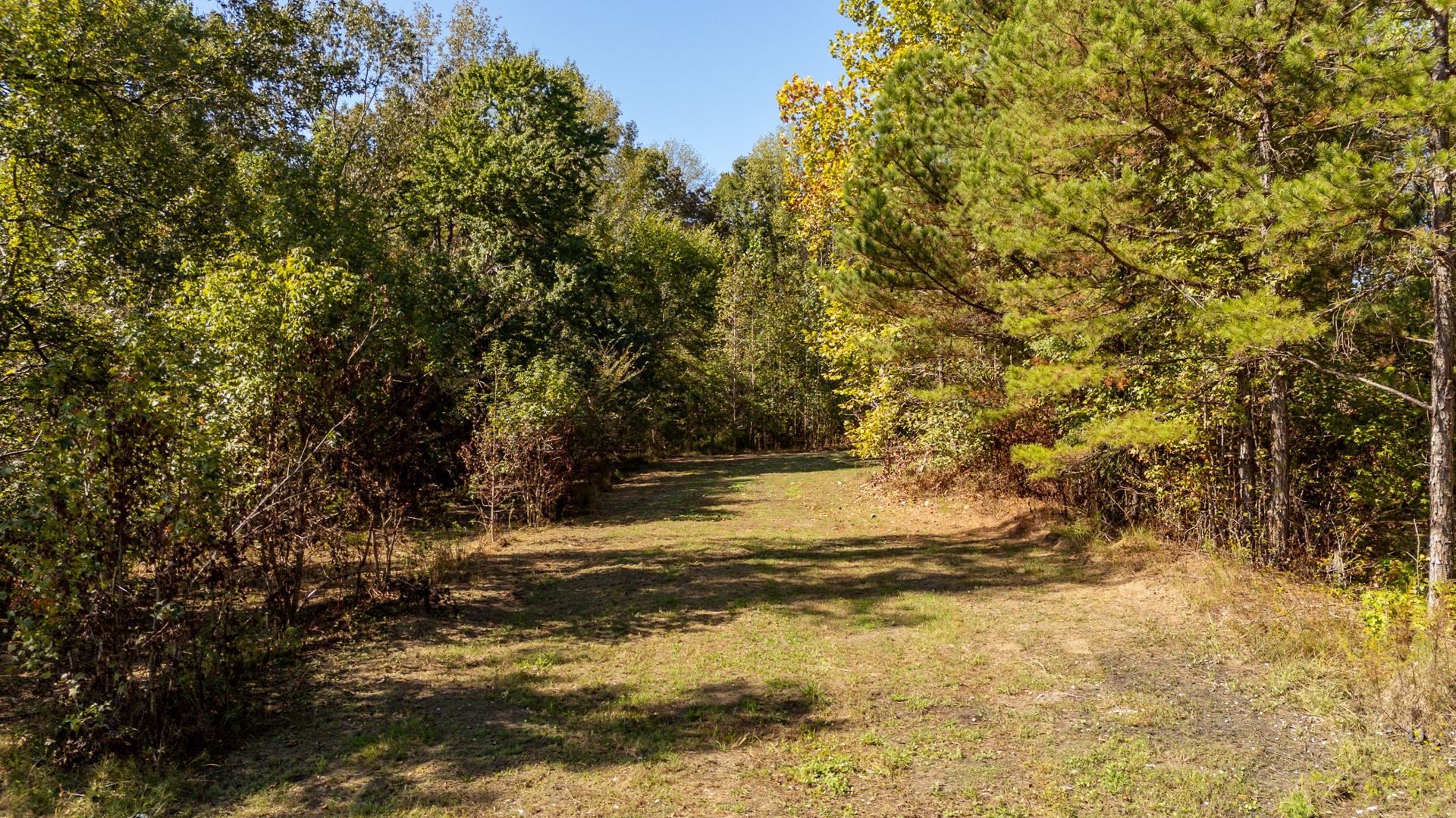 3000 Pleasant Site Road Selmer, TN 38375 - Photo 19 of 21 Gallery Image 19