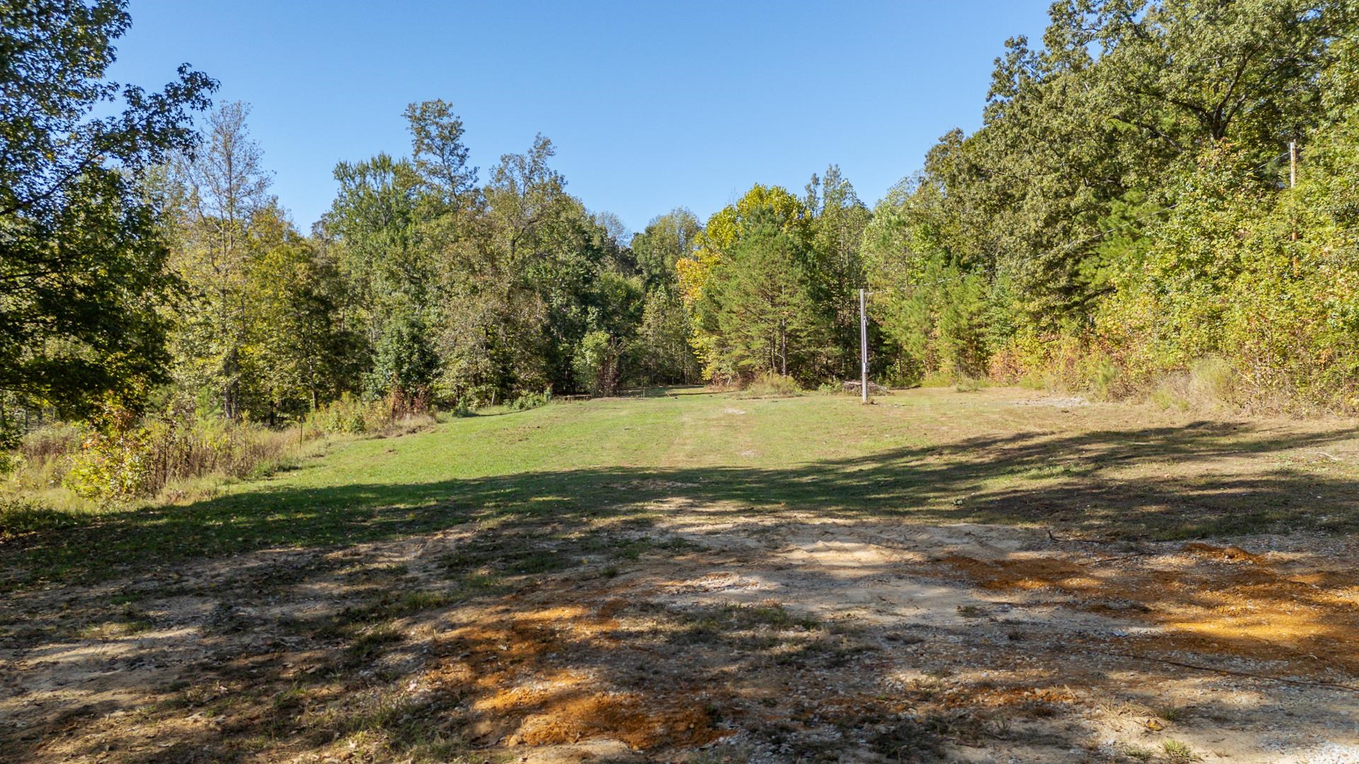 3000 Pleasant Site Road Selmer, TN 38375 - Photo 3 of 21 Gallery Image 3
