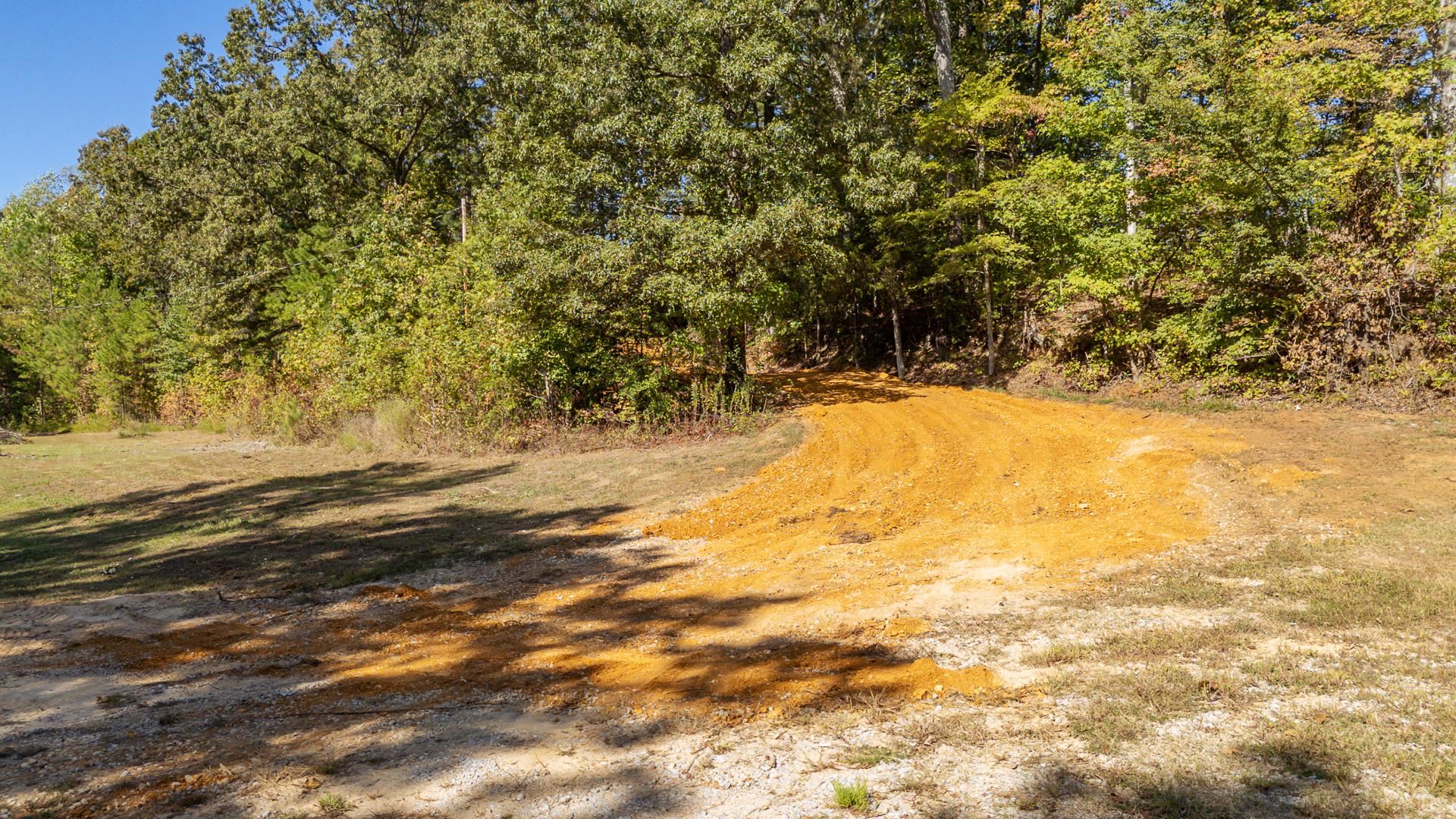 3000 Pleasant Site Road Selmer, TN 38375 - Photo 4 of 21 Gallery Image 4