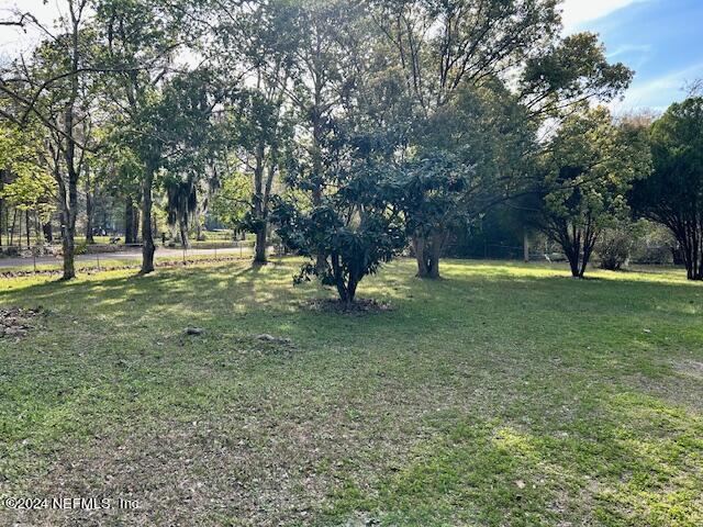 11231 Ramallah Road Jacksonville, FL 32219 - Photo 4 of 13 Front Yard 1