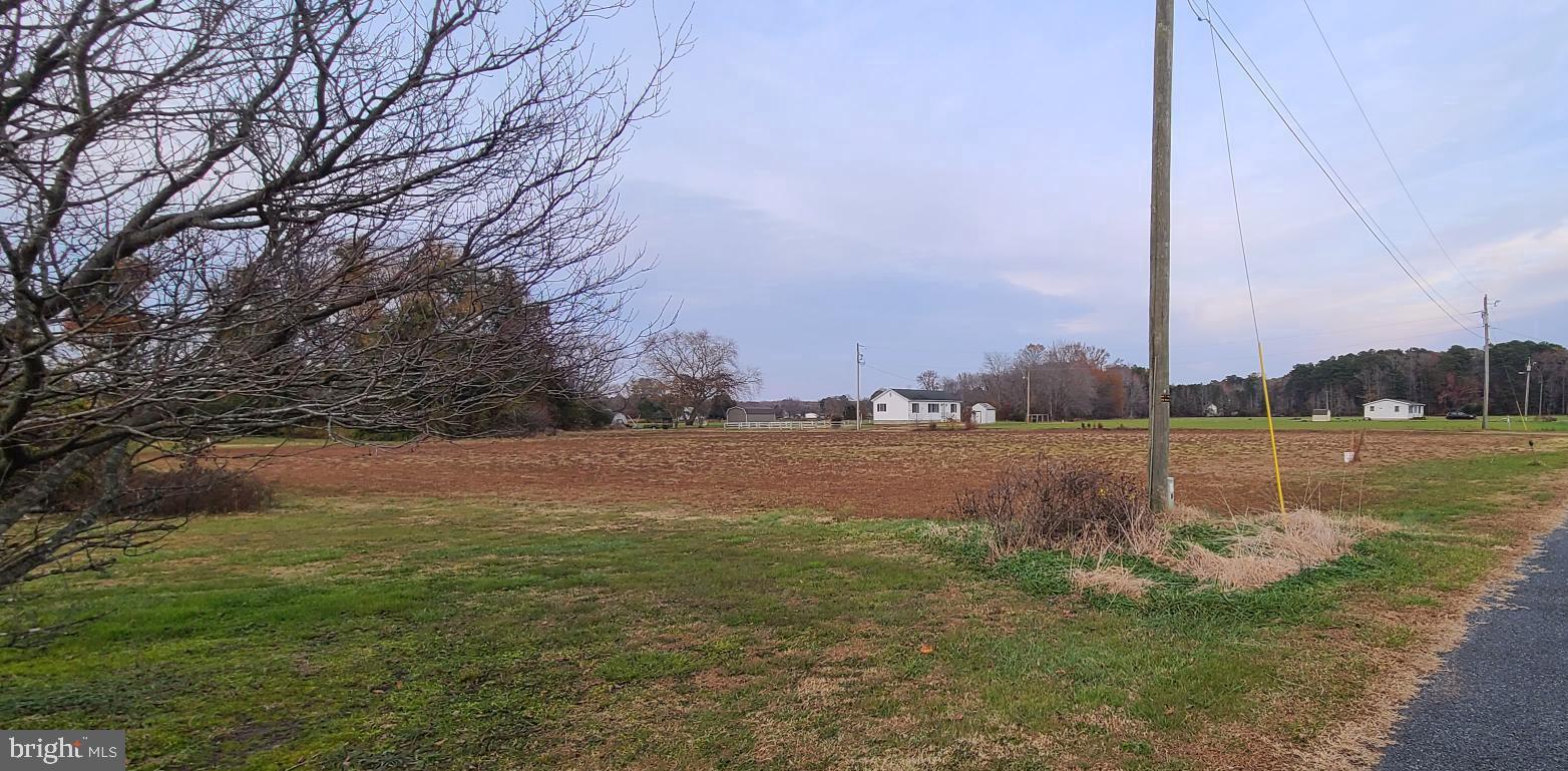 13431 Bobtown Road Princess Anne, MD 21853 - Photo 7 of 7 rear of property