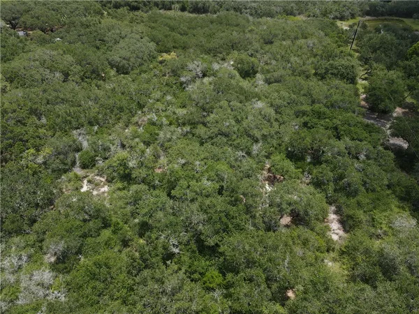 an aerial view of residential house with outdoor space and trees all around