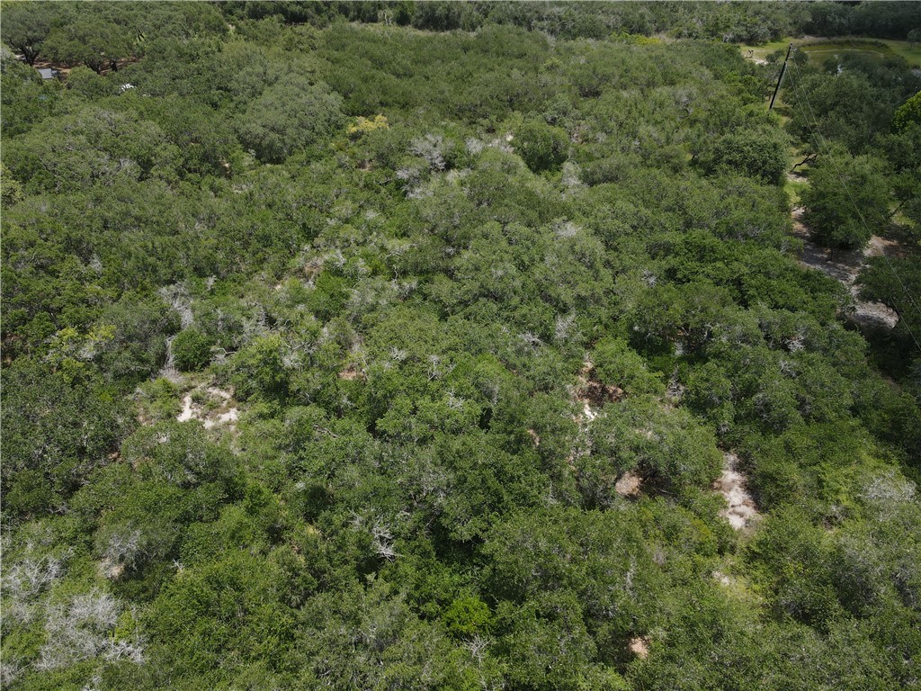 an aerial view of residential house with outdoor space and trees all around