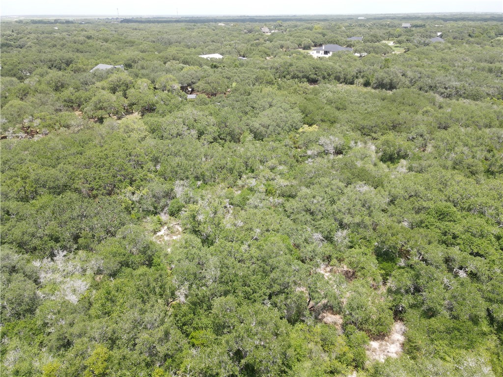 1738 Morgan Lane Ingleside, TX 78362 - Photo 4 of 7 a view of a field with trees in the background