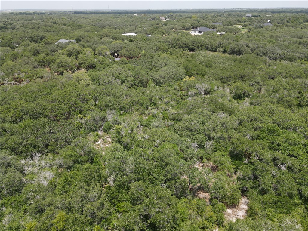 1738 Morgan Lane Ingleside, TX 78362 - Photo 5 of 7 an aerial view of residential houses with outdoor space and trees