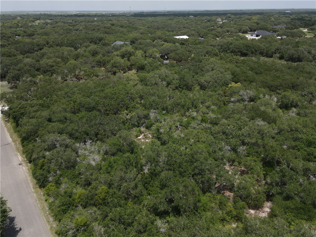 1738 Morgan Lane Ingleside, TX 78362 - Photo 6 of 7 an aerial view of residential houses with outdoor space and trees