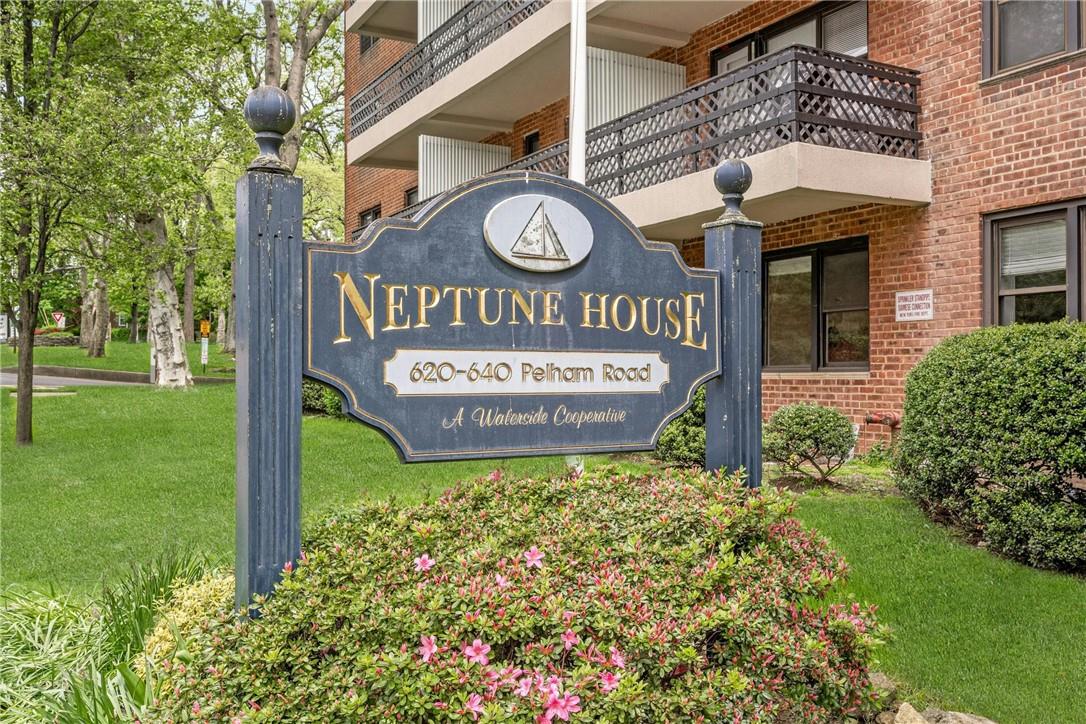 Welcome to the Neptune House