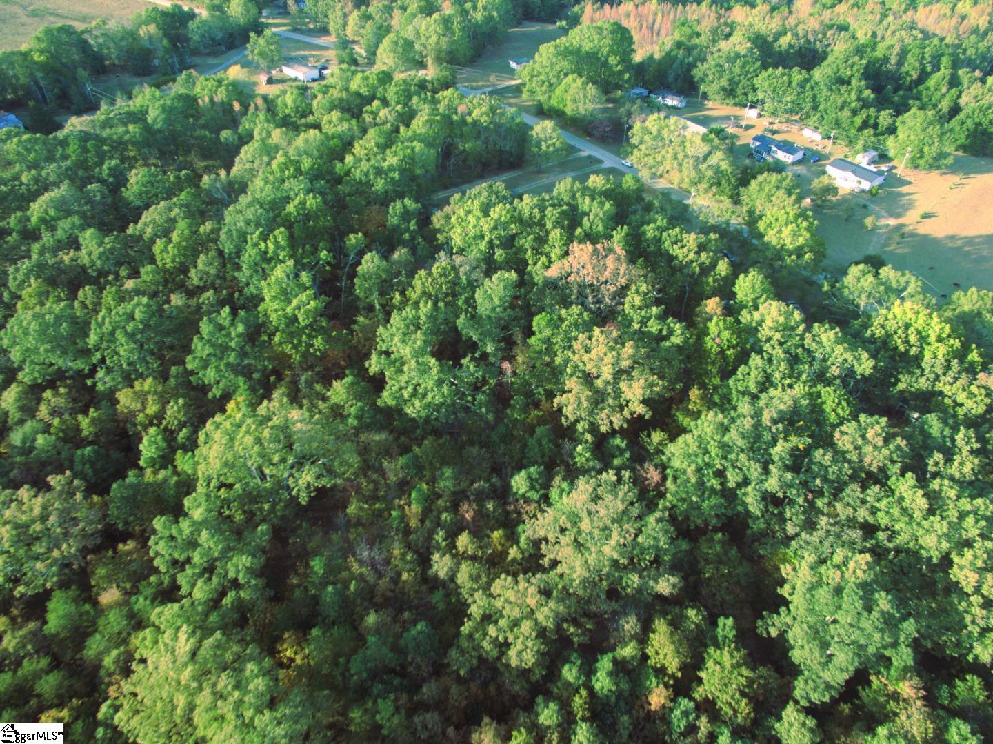 2056 A Old Hundred Road Pelzer, SC 29669 - Photo 12 of 15