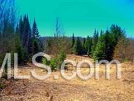 Tbd Ross/kates Grade Road Arnold, MI 49819 - Photo 1 of 1
