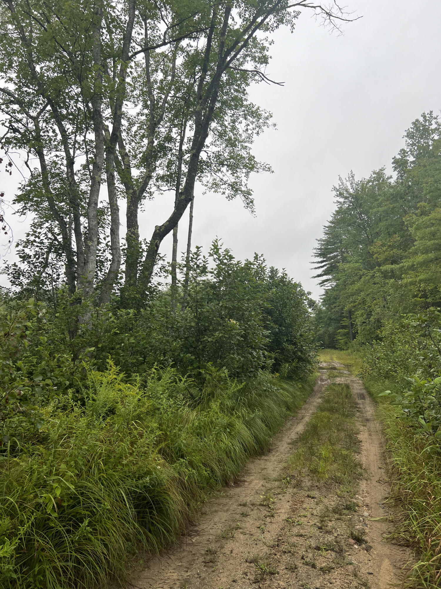 1 Old Middle Road Limerick, ME 04048 - Photo 4 of 4 999