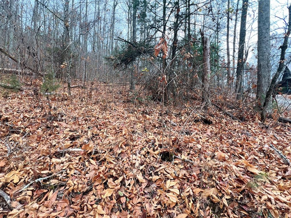 10 Shagbark Hickory Ridge Sevierville, TN 37862 - Photo 22 of 28 Gallery Image 22