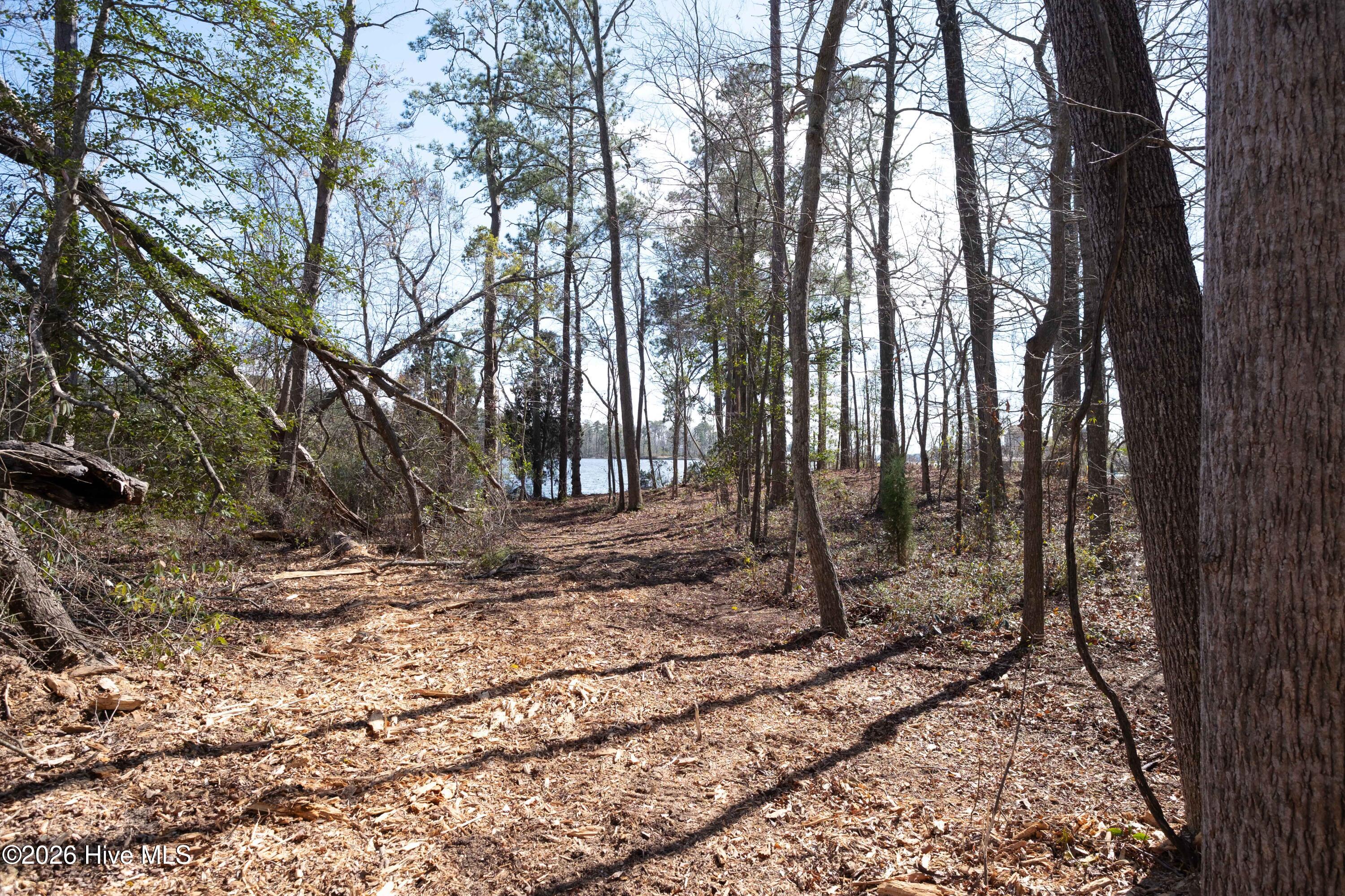 668 Sawmill Landing Road Bath, NC 27808 - Photo 25 of 30 DSCF4105