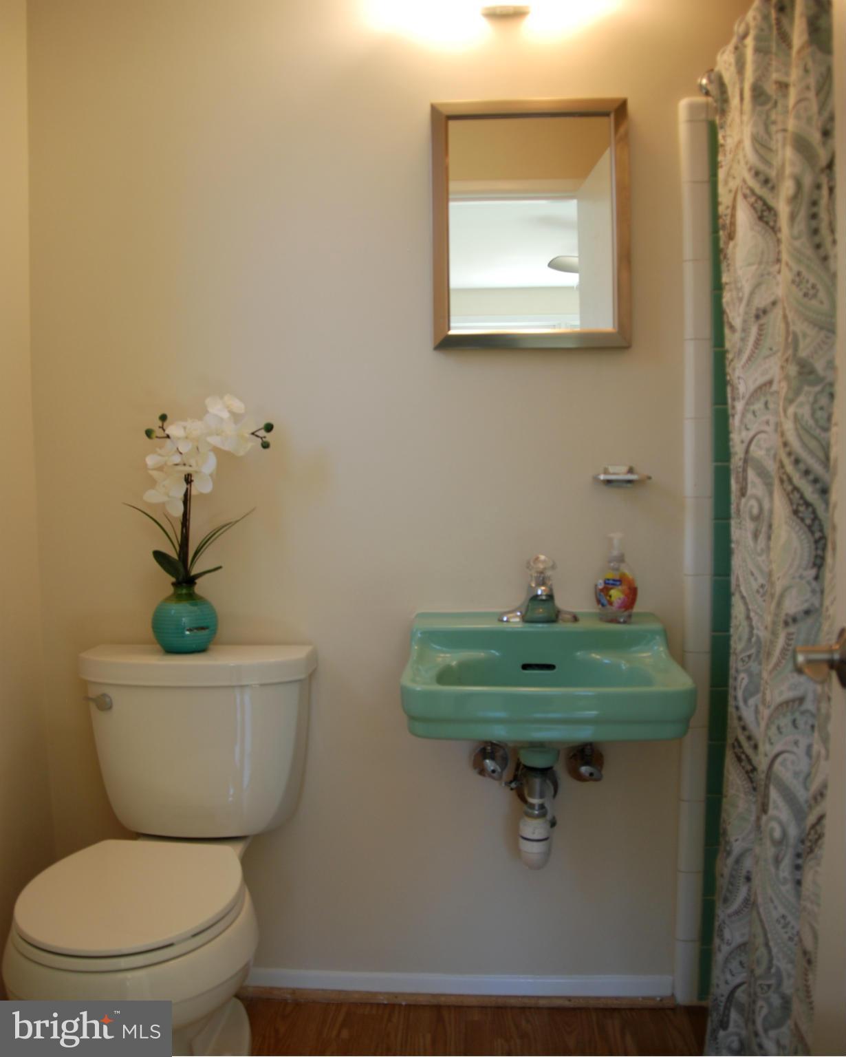 8112 Bullock Lane Springfield, VA 22151 - Photo 27 of 30 Bath off Bedroom #4 Lower Level