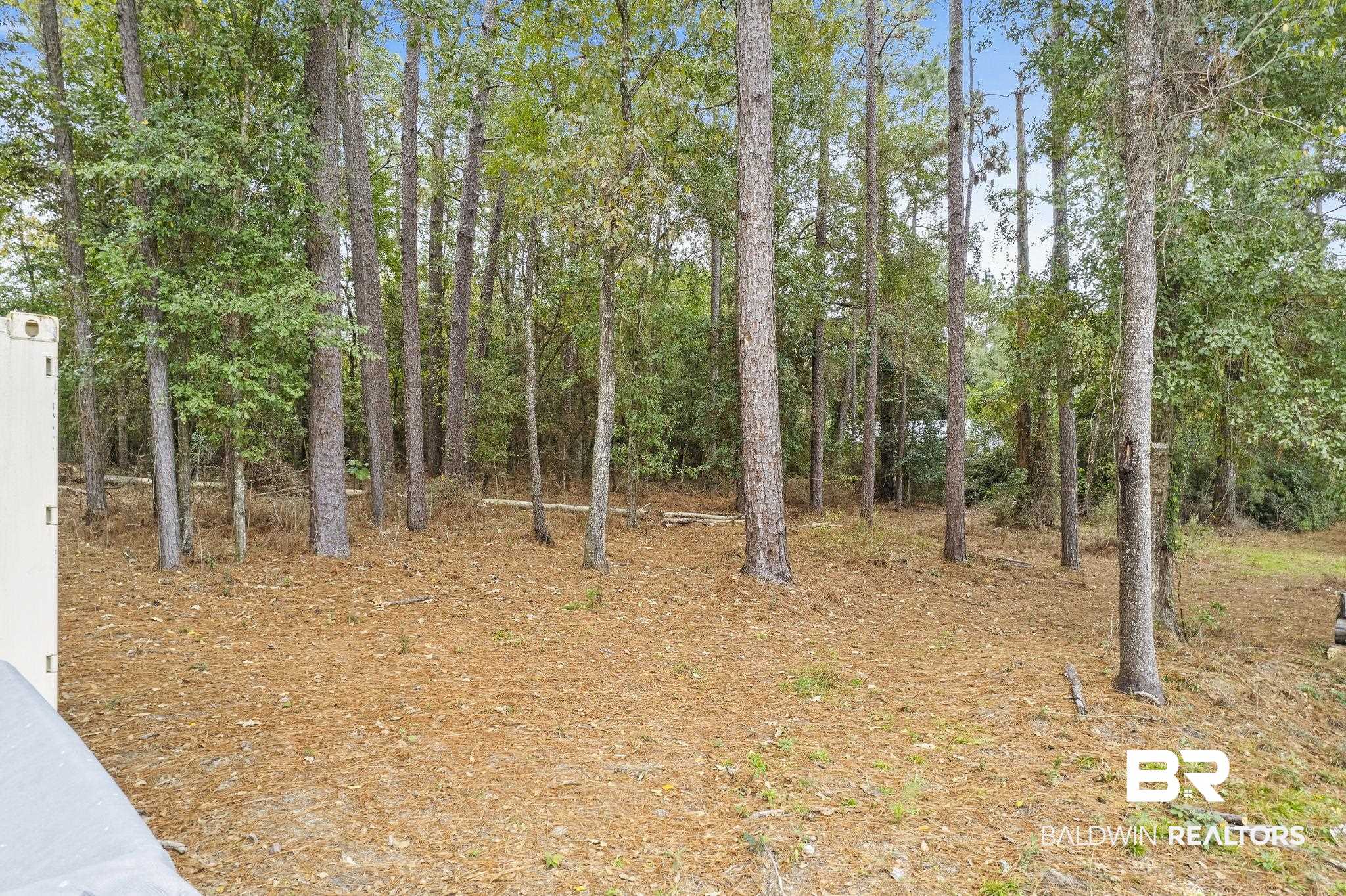 32072 Buzbee Road Daphne, AL 36527 - Photo 38 of 41 View of nature