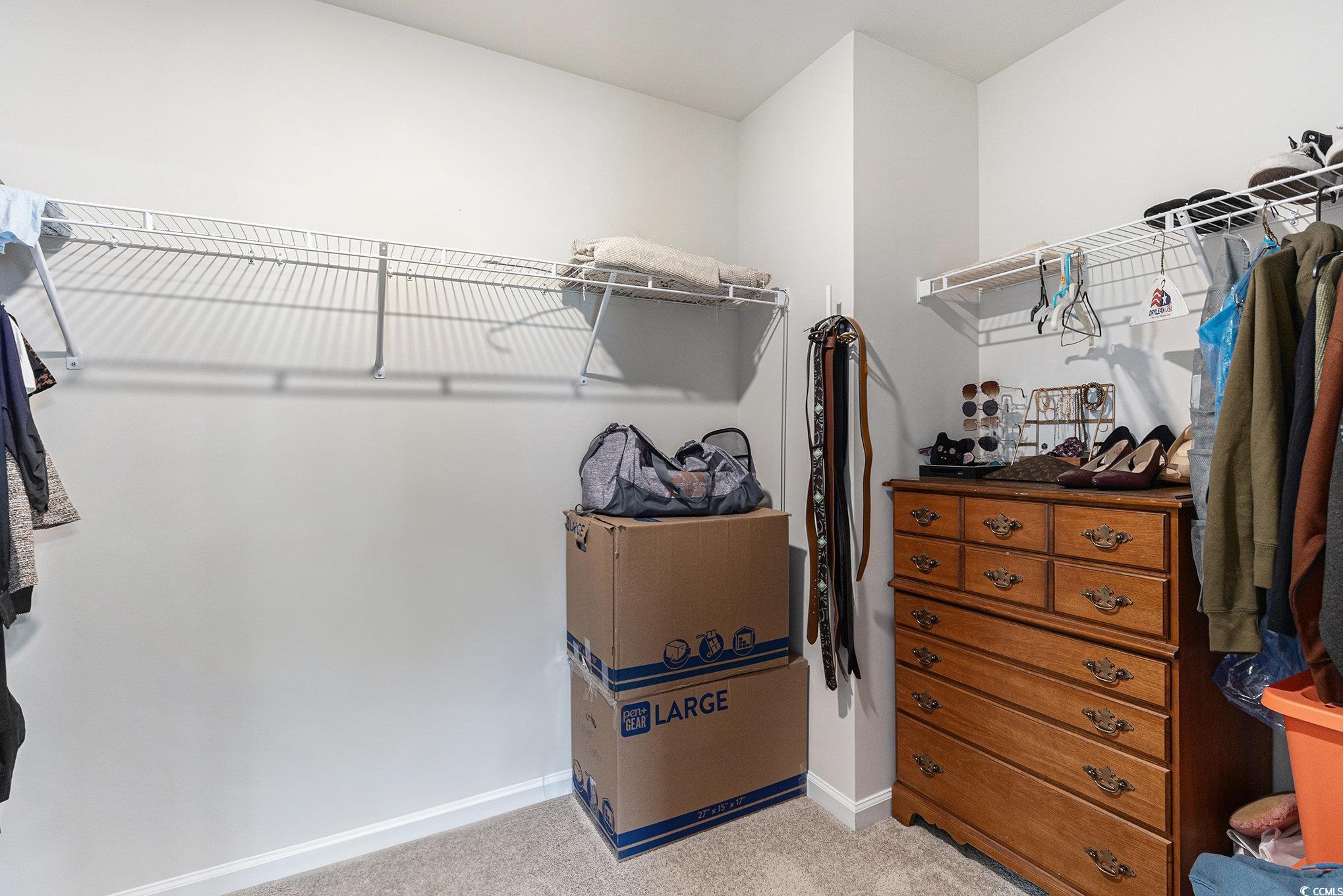 651 Choctaw Drive Conway, SC 29526 - Photo 22 of 37 Walk in closet with light carpet
