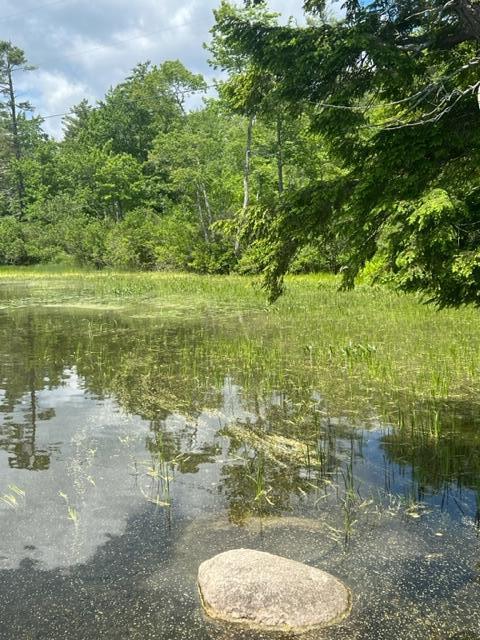 69 Packard Road Monmouth, ME 04259 - Photo 23 of 24 From abutting property Robinson side