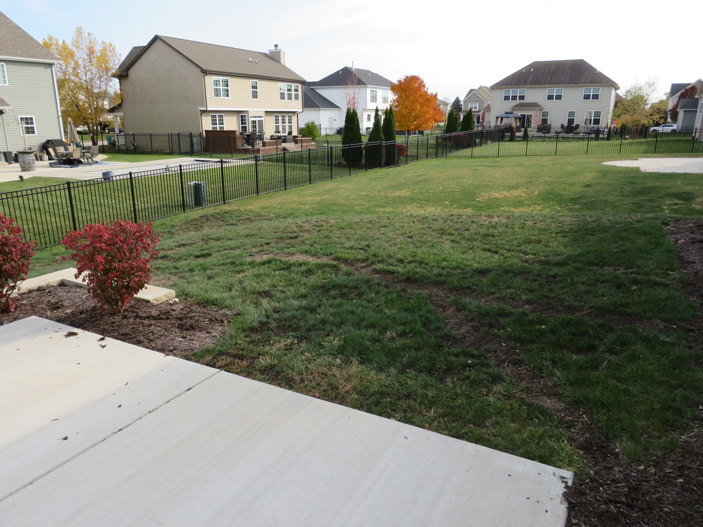 21407 Bay Tree Court Shorewood, IL 60404 - Photo 9 of 53 a view of a garden with a house