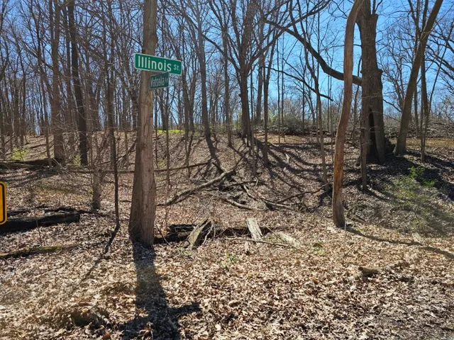 a view of a backyard of the house
