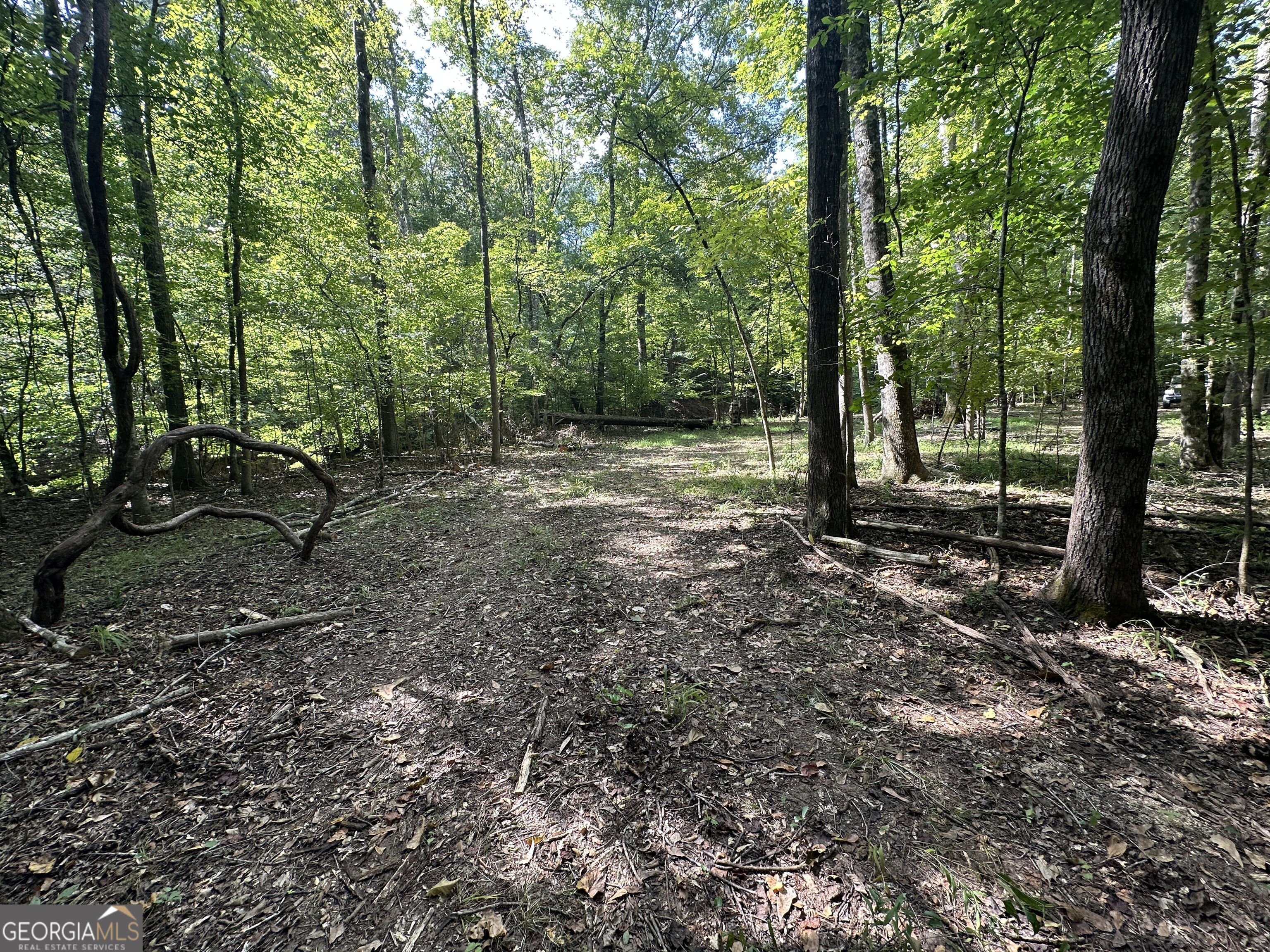 119 Hough Johnson Road Haddock, GA 31033 - Photo 33 of 39 Gallery Image 33