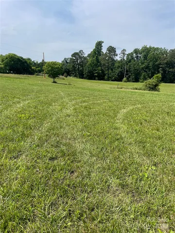 a view of a field with a tree in the background